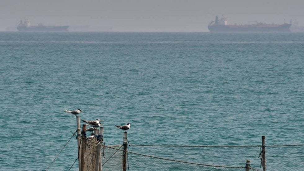 Τρία φορτηγά πλοία δέχθηκαν σήμερα πυρά στα Στενά του Ορμούζ - Τι γνωρίζουμε για το ελληνόκτητο